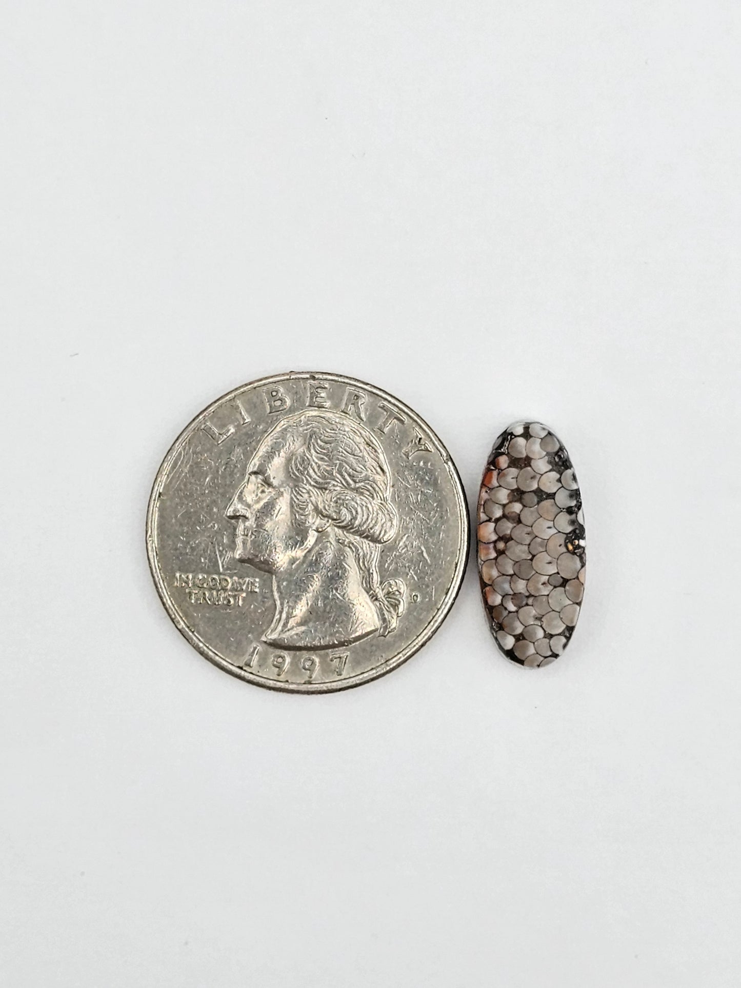 Snake skin agate cabochon