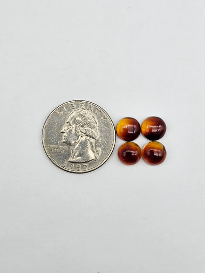 Amber authentic cabochon pair lot