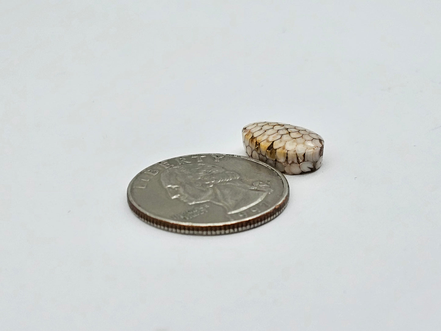 Snake skin agate cabochon