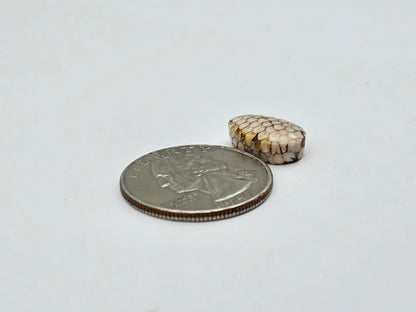 Snake skin agate cabochon