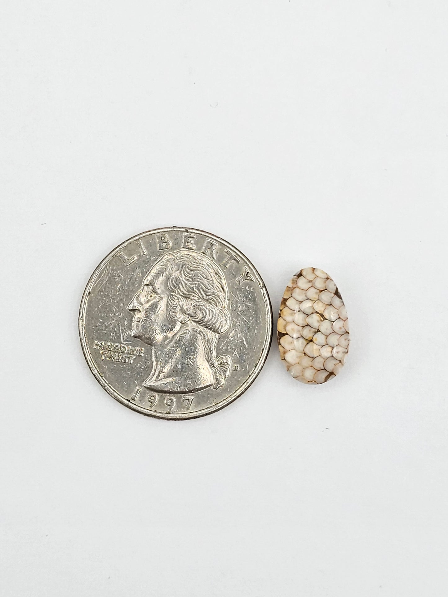 Snake skin agate cabochon