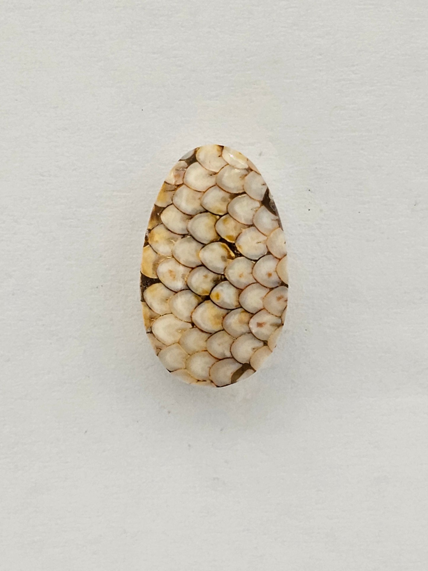 Snake skin agate cabochon