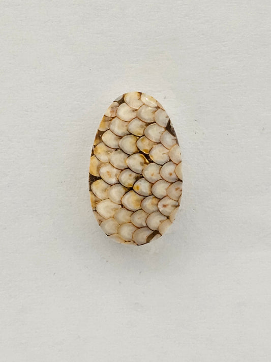 Snake skin agate cabochon