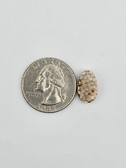 Snake skin agate cabochon