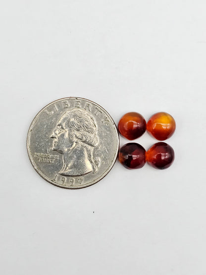 Amber authentic cabochon pair lot