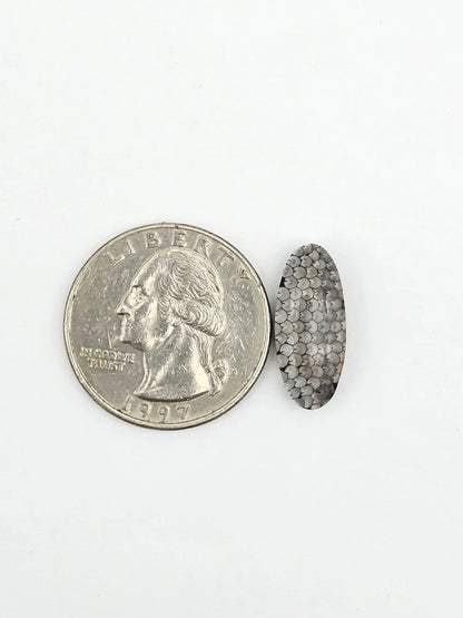 Snake skin agate cabochon