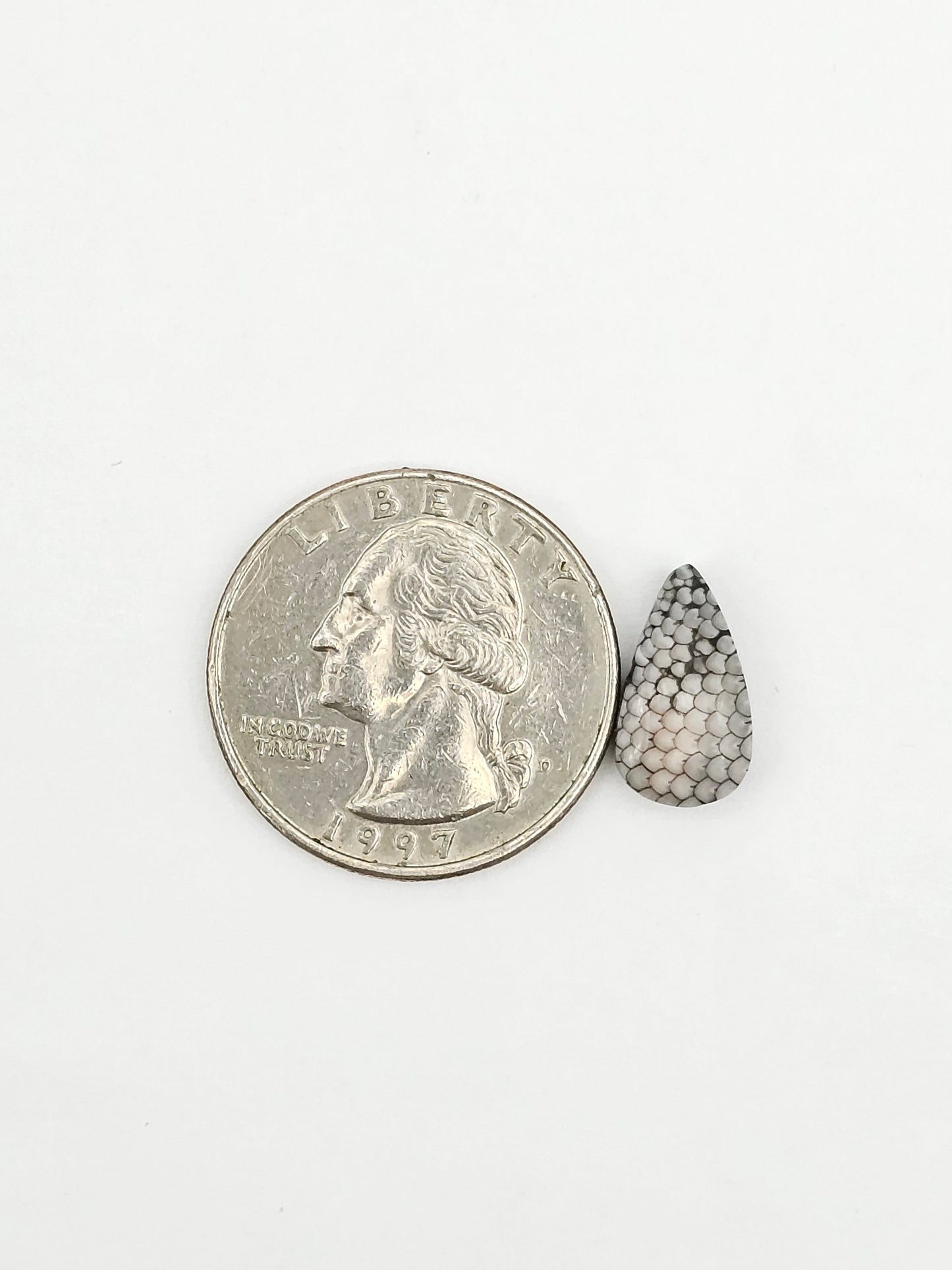 Snake skin agate cabochon