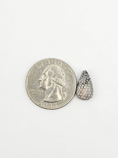Snake skin agate cabochon