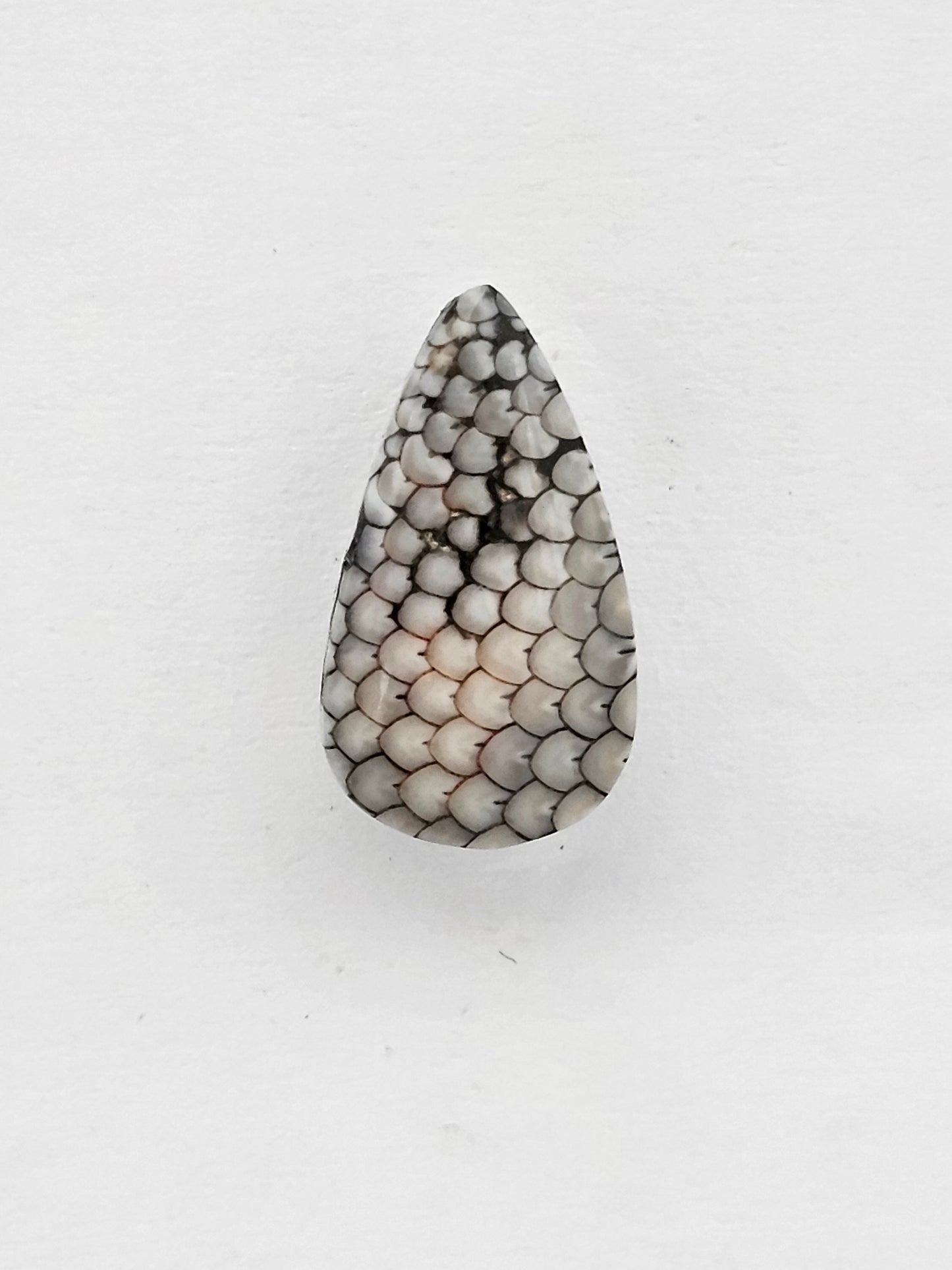 Snake skin agate cabochon