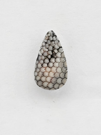 Snake skin agate cabochon