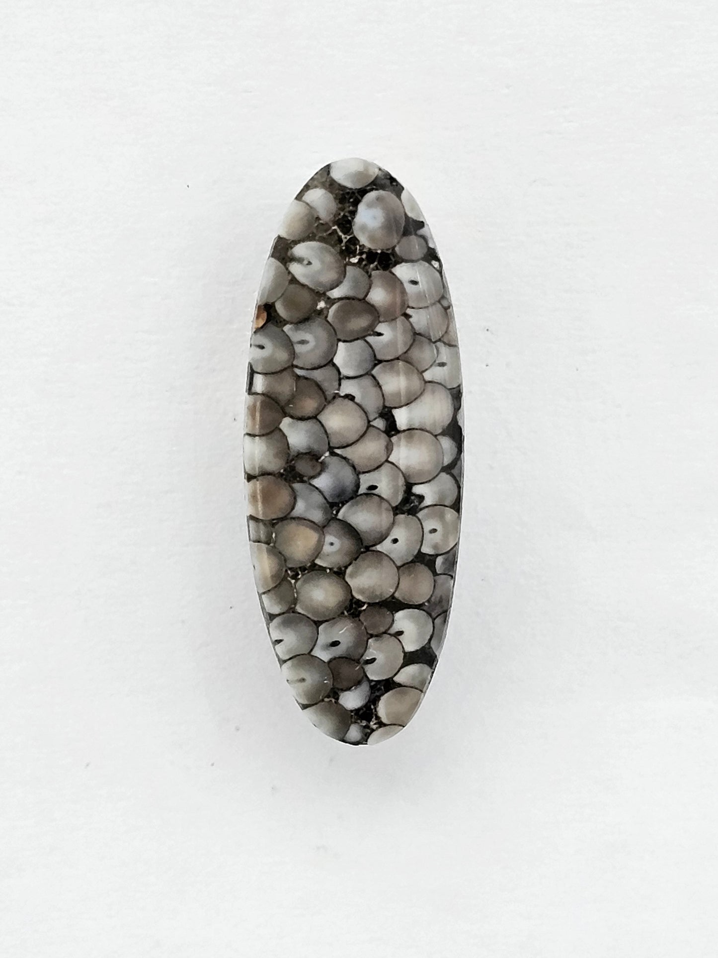 Snake skin agate cabochon