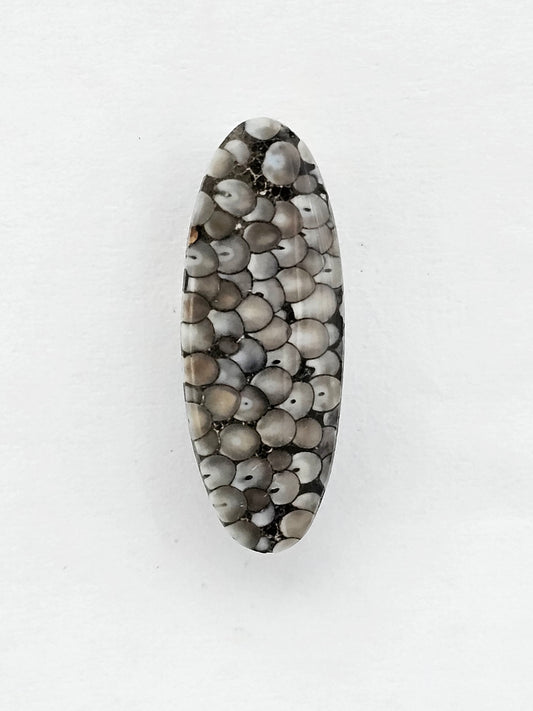 Snake skin agate cabochon