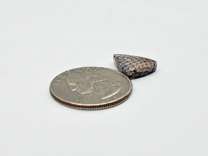 Snake skin agate cabochon