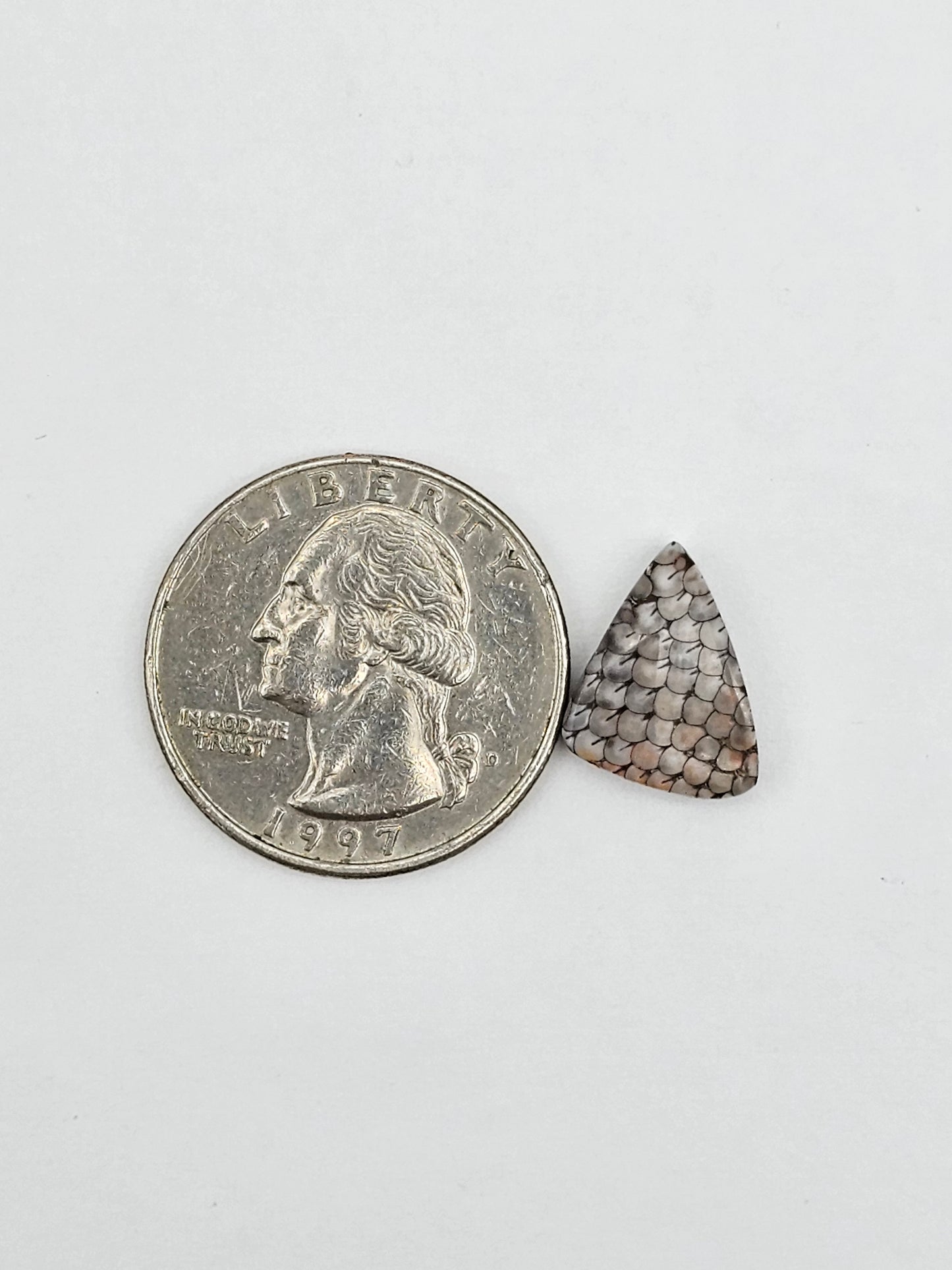 Snake skin agate cabochon