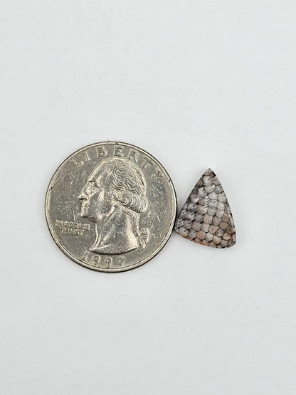 Snake skin agate cabochon