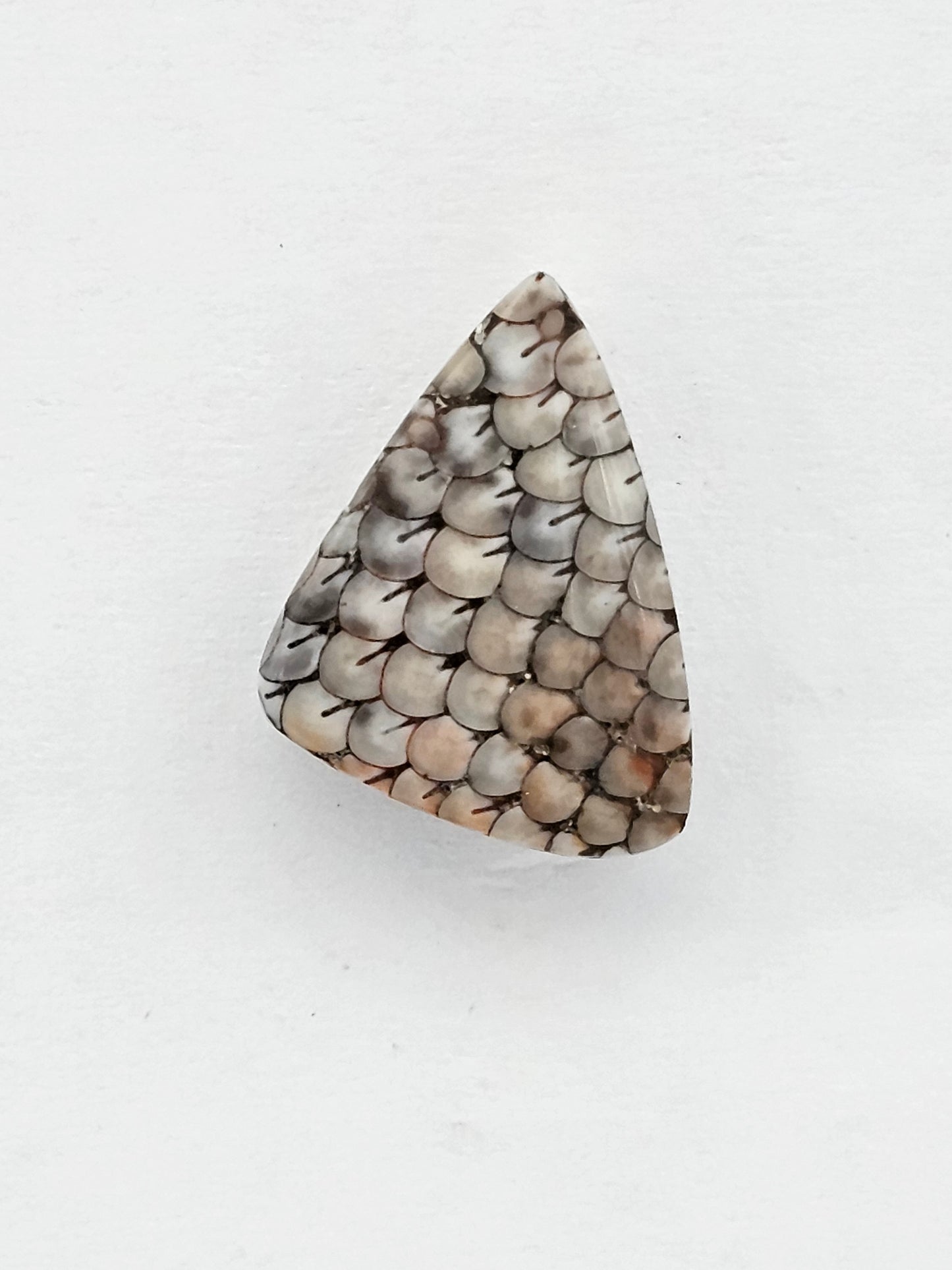 Snake skin agate cabochon