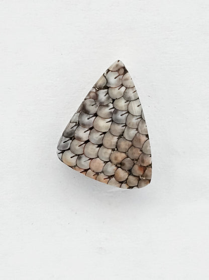 Snake skin agate cabochon