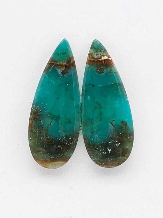 Blue opalized wood Cabochon Pair