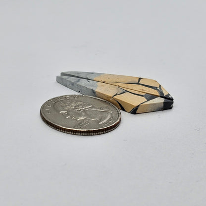 Maligano Jasper cabochon pair
