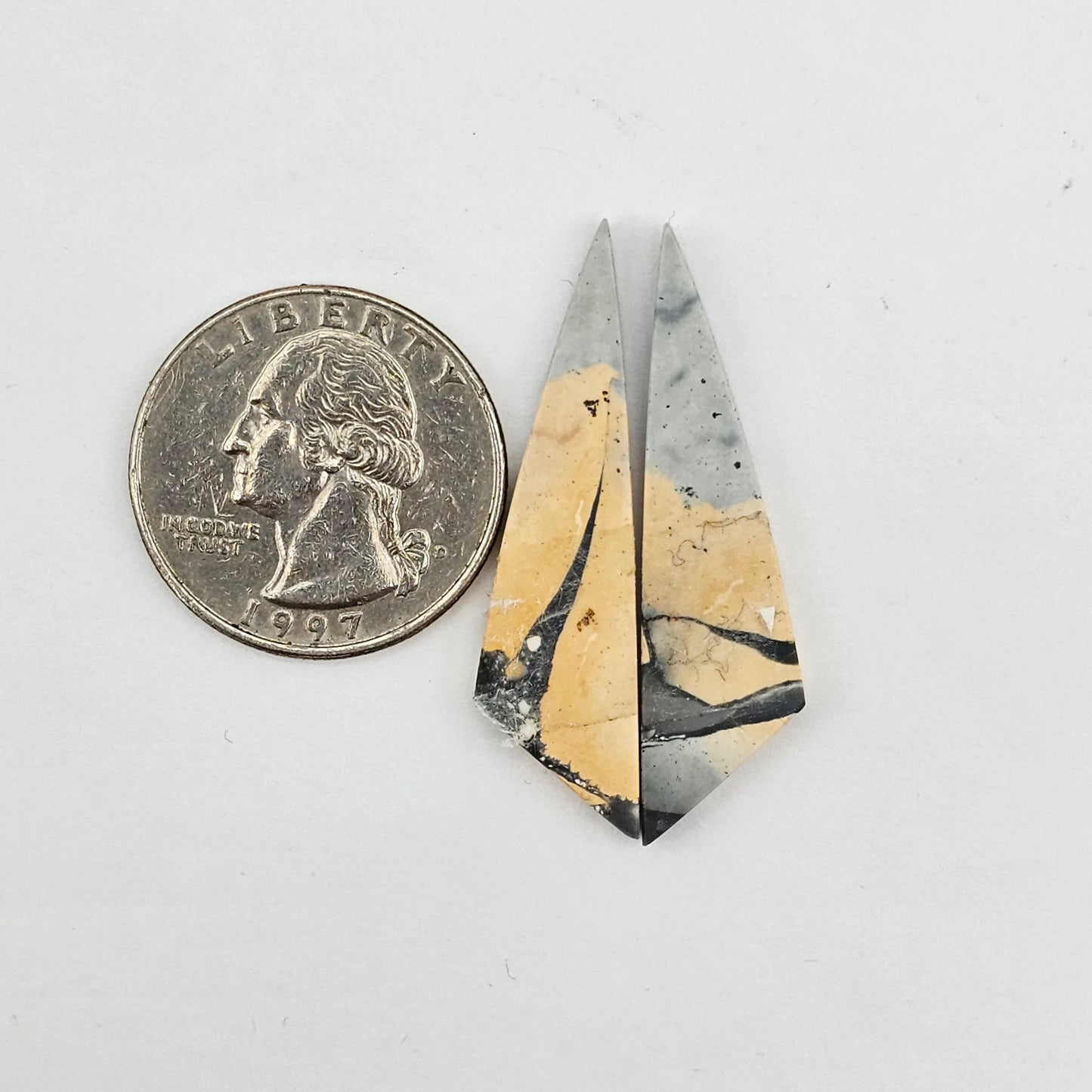 Maligano Jasper cabochon pair