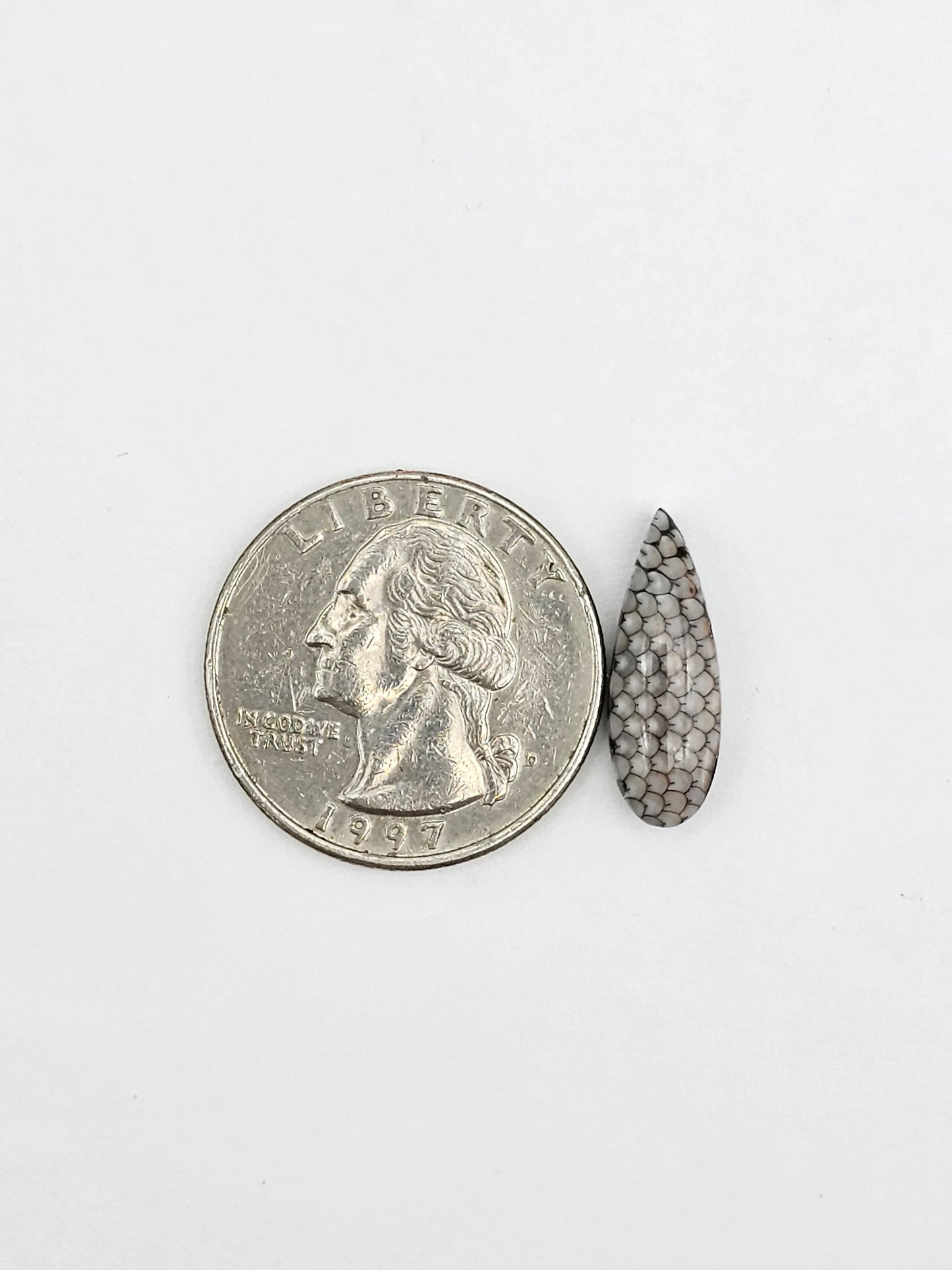 Snake skin agate cabochon
