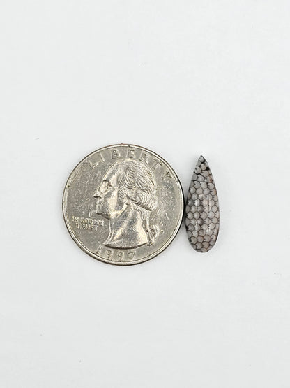 Snake skin agate cabochon