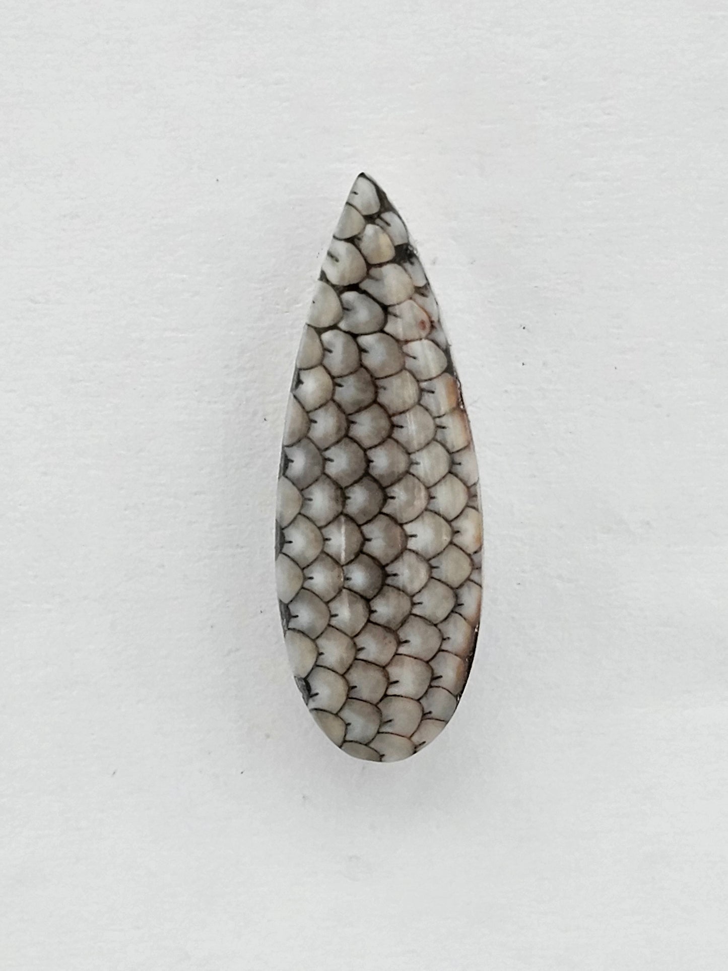 Snake skin agate cabochon