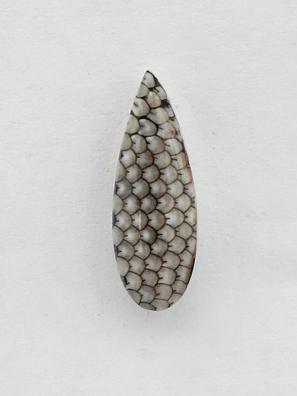 Snake skin agate cabochon