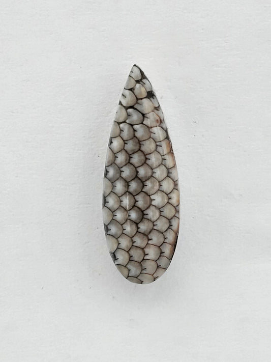 Snake skin agate cabochon