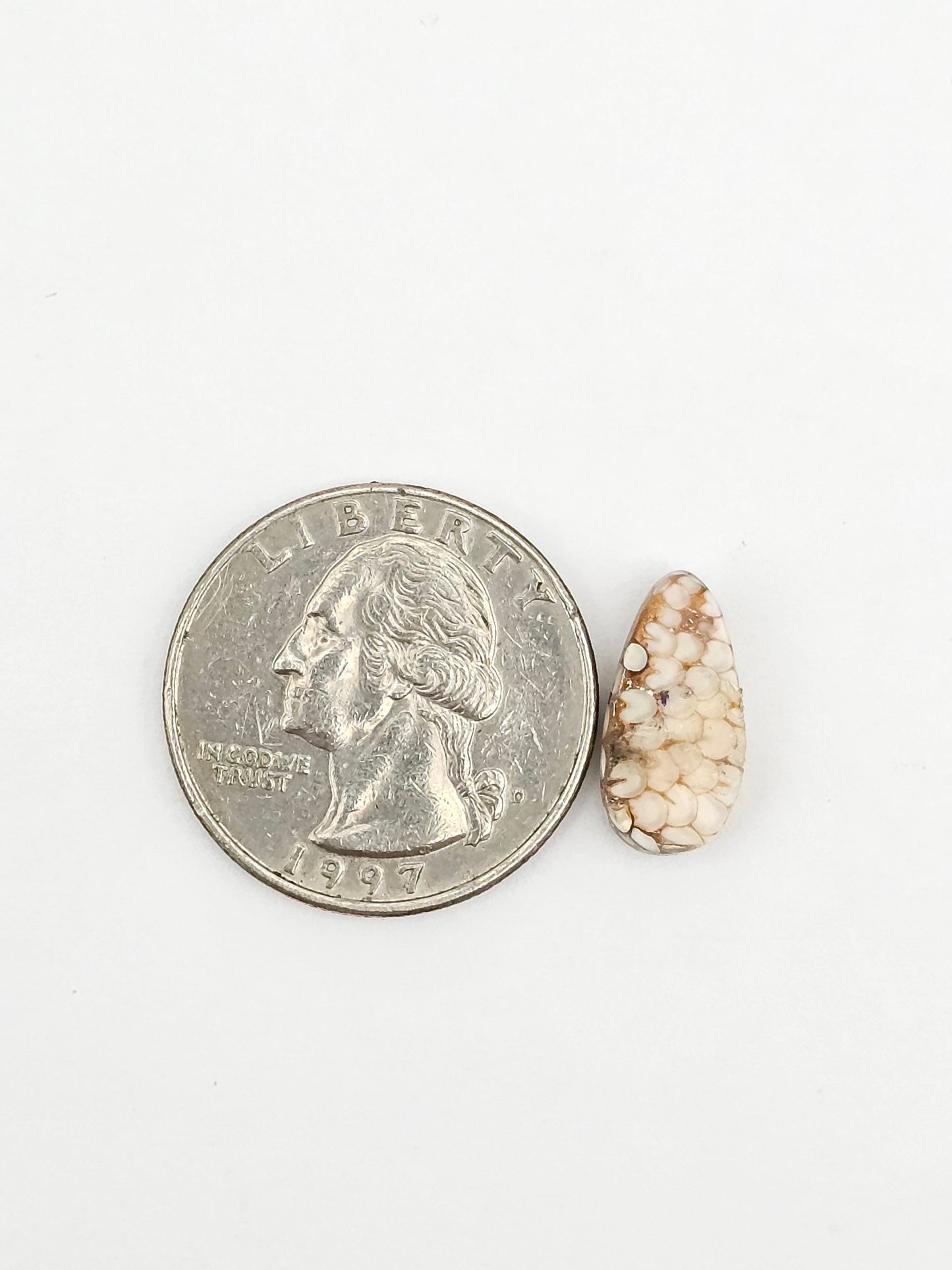 Snake agate cabochon large