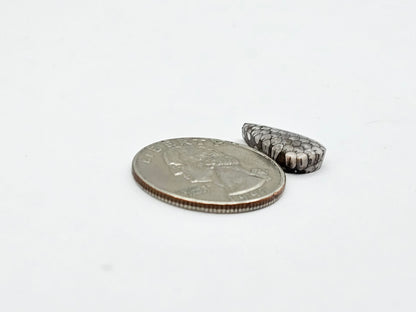 Snake skin agate cabochon
