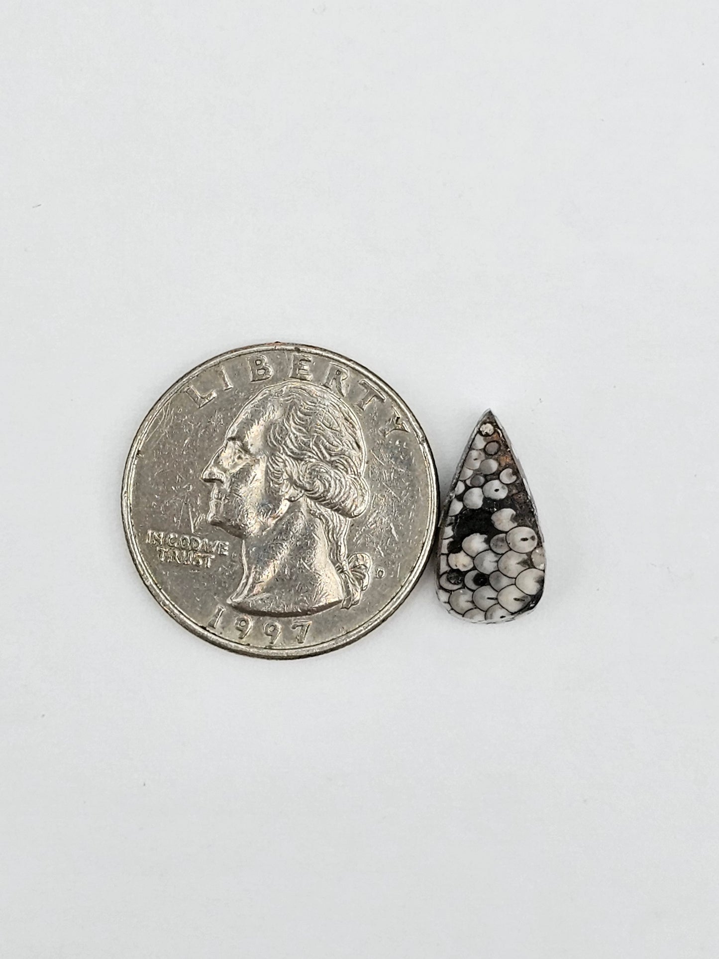 Snake skin agate cabochon
