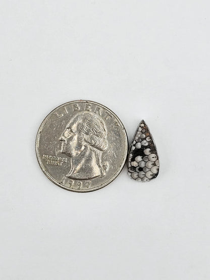 Snake skin agate cabochon