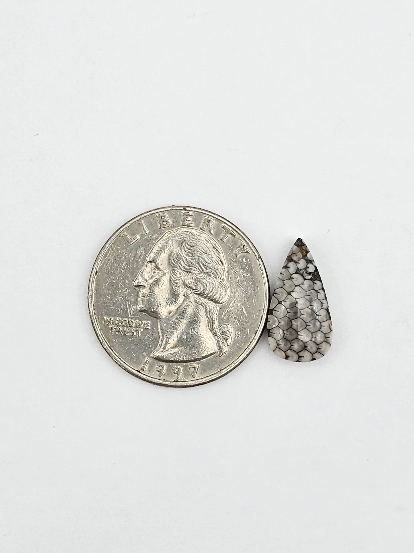 Snake skin agate cabochon