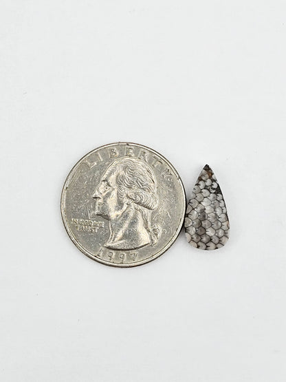 Snake skin agate cabochon