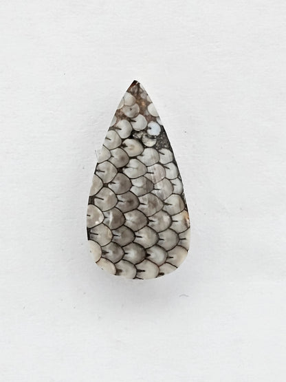 Snake skin agate cabochon