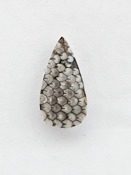 Snake skin agate cabochon
