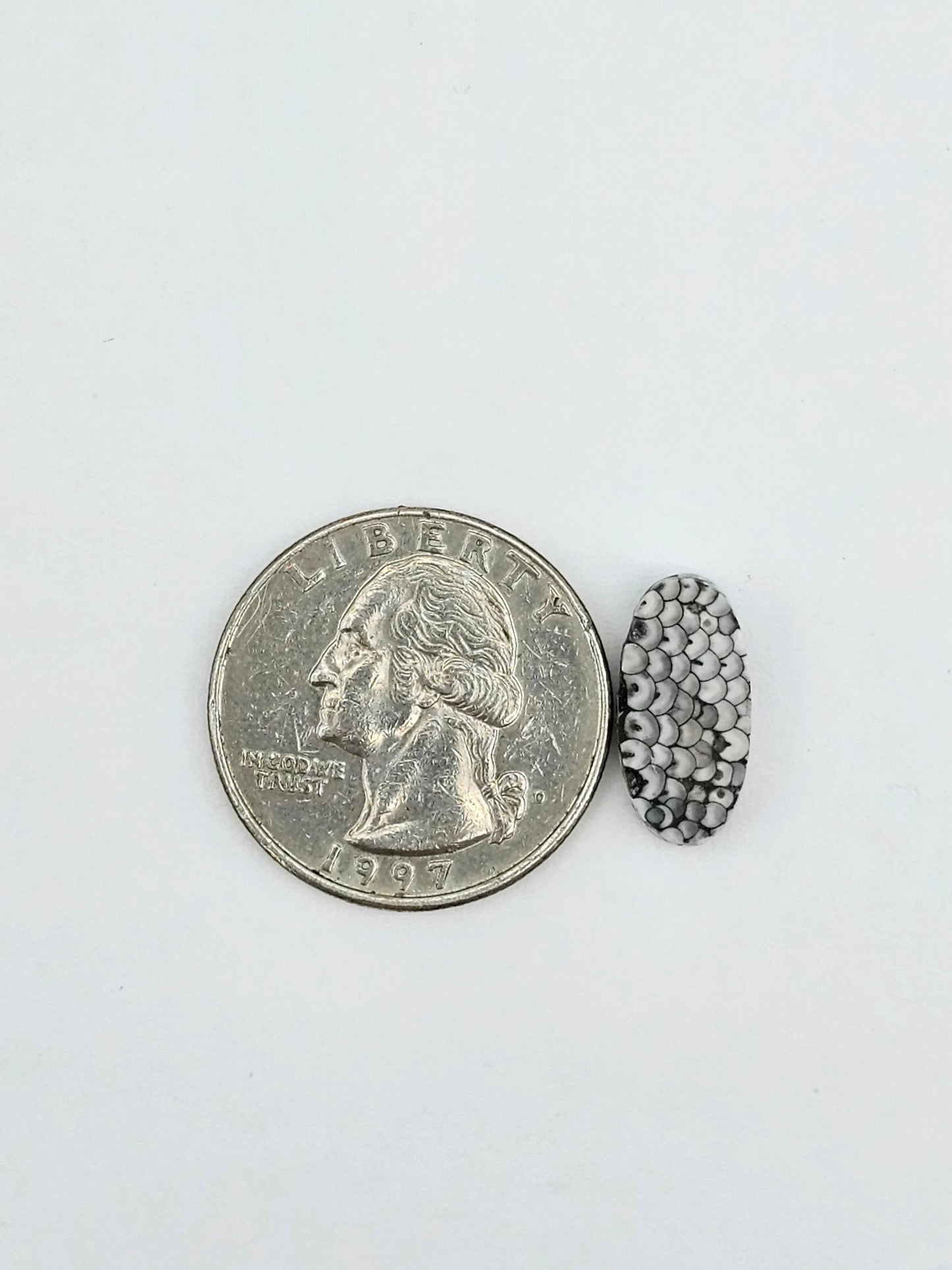 Snake skin agate cabochon