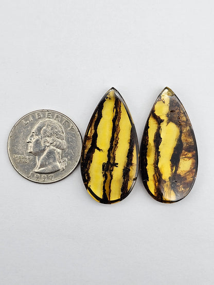 Amber authentic cabochon pair large