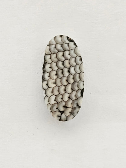 Snake skin agate cabochon