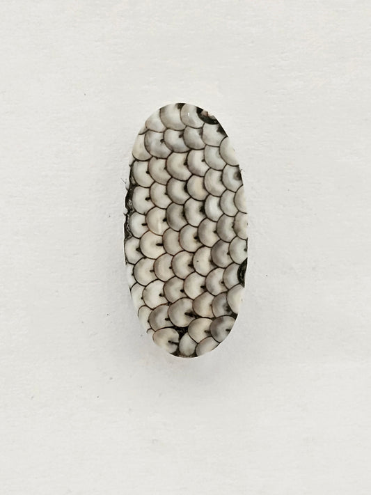 Snake skin agate cabochon