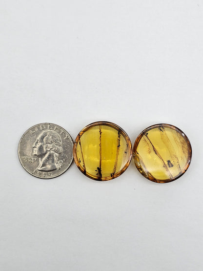 Amber authentic cabochon pair large