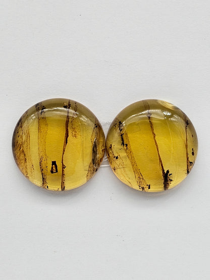 Amber authentic cabochon pair large