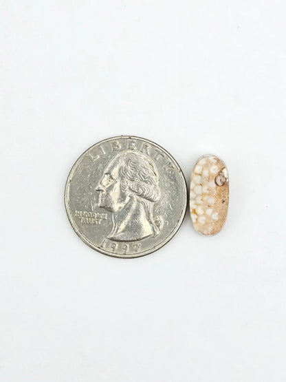 Snake agate cabochon large