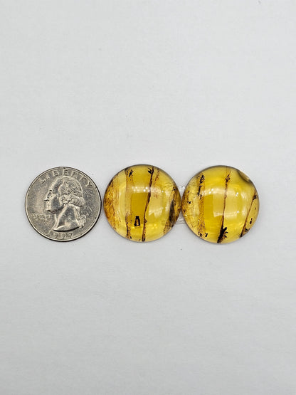 Amber authentic cabochon pair large