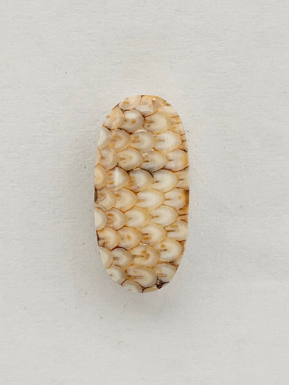 Snake agate cabochon large
