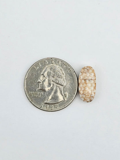 Snake agate cabochon large