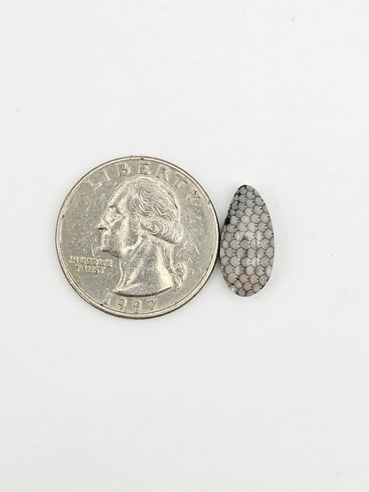 Snake skin agate cabochon