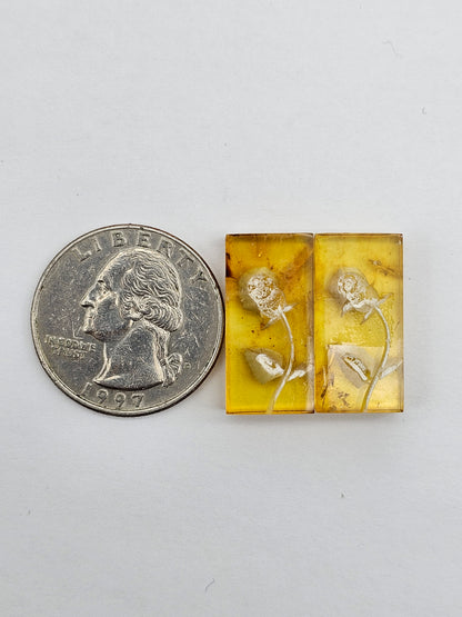 Amber authentic intaglio cabochon pair large