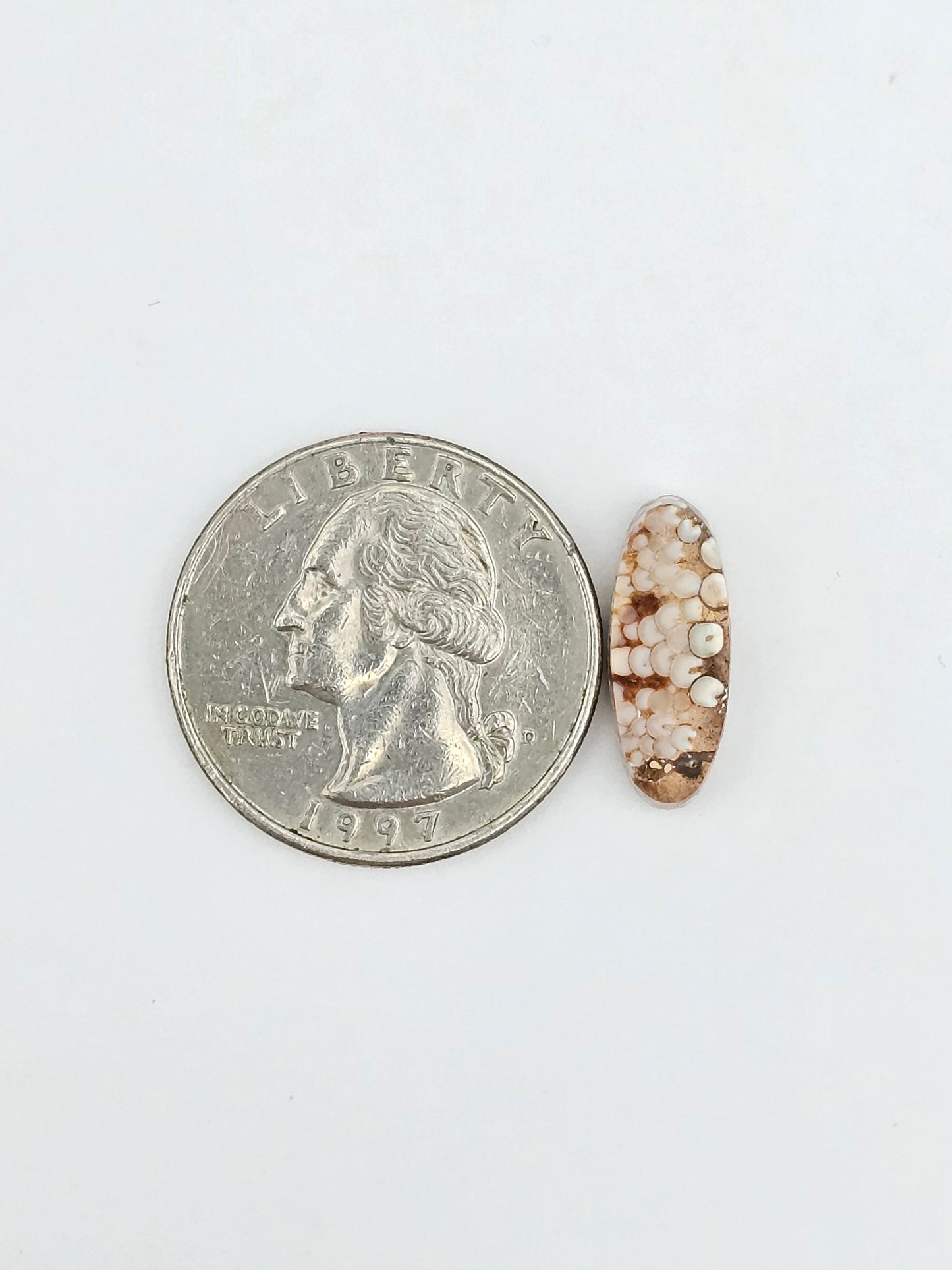 Snake skin agate cabochon